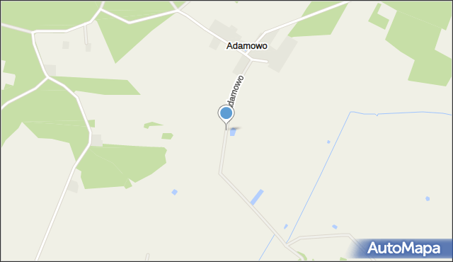 Adamowo gmina Strzegowo, Adamowo, mapa Adamowo gmina Strzegowo