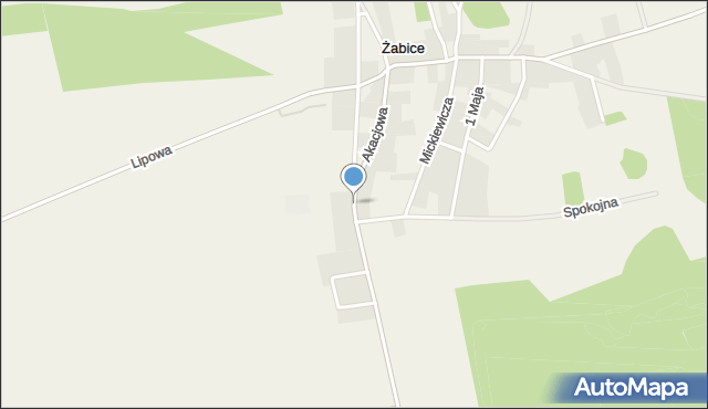 Żabice gmina Górzyca, Akacjowa, mapa Żabice gmina Górzyca