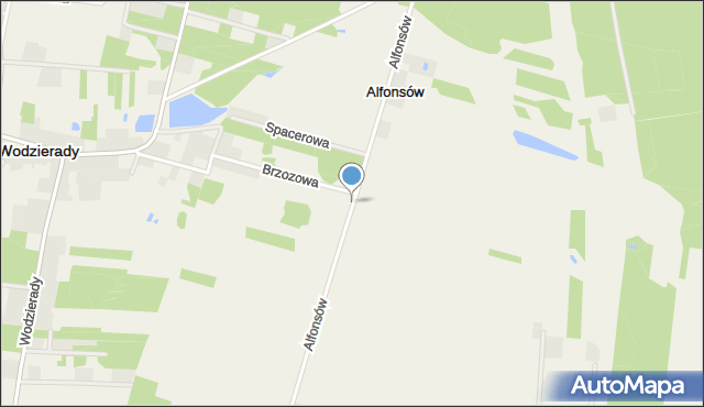 Alfonsów gmina Wodzierady, Alfonsów, mapa Alfonsów gmina Wodzierady