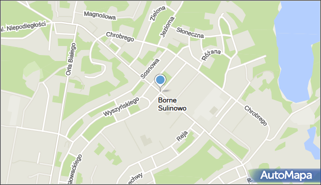 Borne Sulinowo, Aleja Niepodległości, mapa Borne Sulinowo