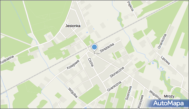 Jesionka gmina Wiskitki, Aleja Partyzantów, mapa Jesionka gmina Wiskitki