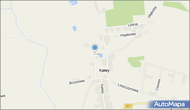 Kalwy, Aleja Lipowa, mapa Kalwy