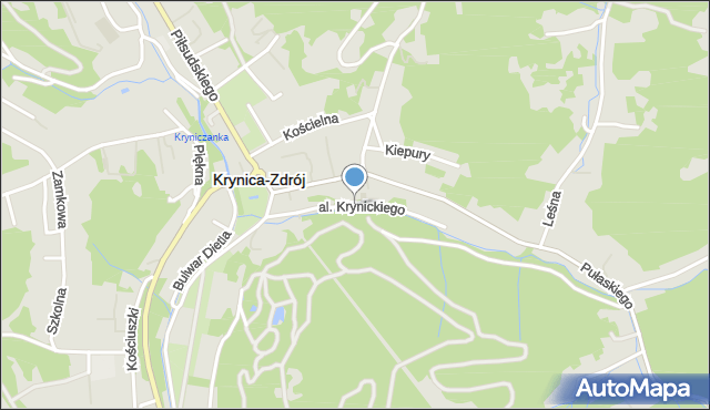 Krynica-Zdrój, Aleja Krynickiego Nikifora, mapa Krynica-Zdrój