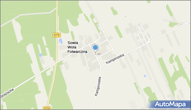 Sowia Wola Folwarczna, Aleja Wiktora, mapa Sowia Wola Folwarczna