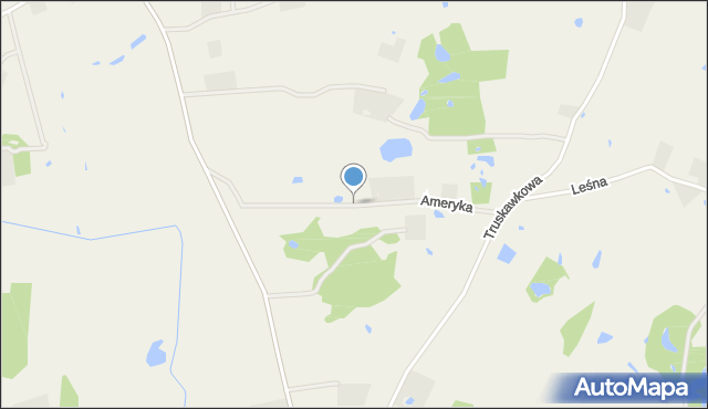 Leszczynki, Ameryka, mapa Leszczynki