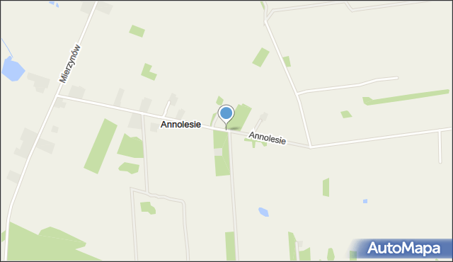 Annolesie gmina Rusiec, Annolesie, mapa Annolesie gmina Rusiec