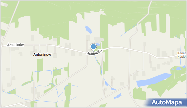 Antoninów gmina Gostynin, Antoninów, mapa Antoninów gmina Gostynin