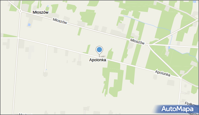 Apolonka gmina Wolbórz, Apolonka, mapa Apolonka gmina Wolbórz