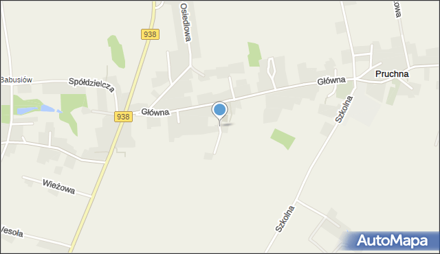 Pruchna, Astrów, mapa Pruchna