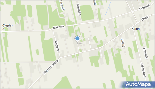 Kaleń gmina Żabia Wola, Azalii, mapa Kaleń gmina Żabia Wola