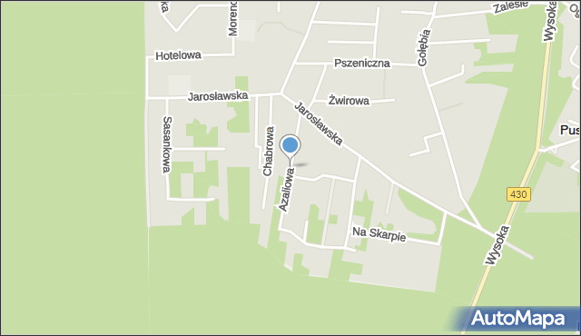 Puszczykowo powiat poznański, Azaliowa, mapa Puszczykowo powiat poznański