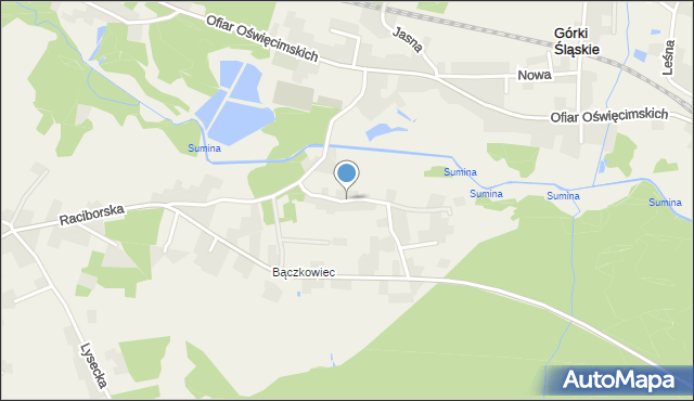 Bogunice, Bączkowiec, mapa Bogunice