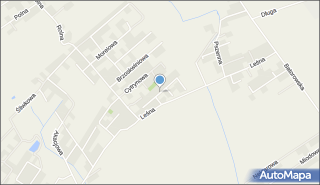 Dąbrowa gmina Dopiewo, Bananowa, mapa Dąbrowa gmina Dopiewo