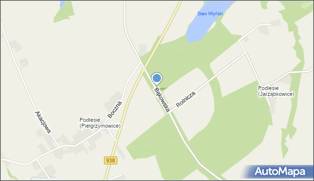 Golasowice, Bąkowska, mapa Golasowice