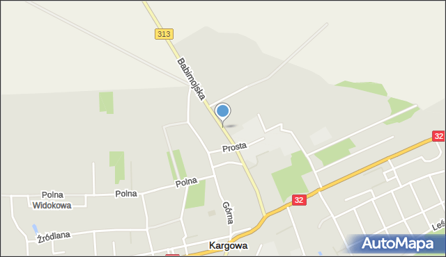 Kargowa, Babimojska, mapa Kargowa