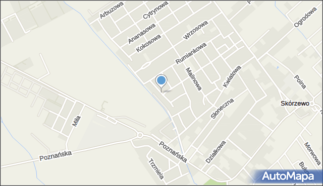 Skórzewo gmina Dopiewo, Bazyliowa, mapa Skórzewo gmina Dopiewo