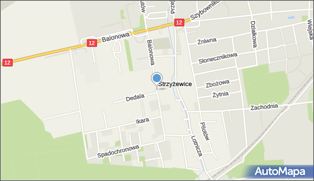 Strzyżewice gmina Święciechowa, Balonowa, mapa Strzyżewice gmina Święciechowa
