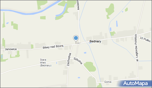 Bednary gmina Nieborów, Bednary, mapa Bednary gmina Nieborów