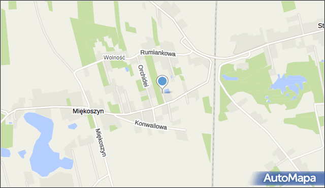 Miękoszynek, Begonii, mapa Miękoszynek