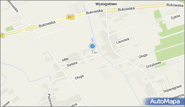 Wysogotowo, Beztroska, mapa Wysogotowo