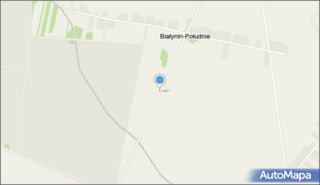 Białynin-Południe, Białynin-Południe, mapa Białynin-Południe