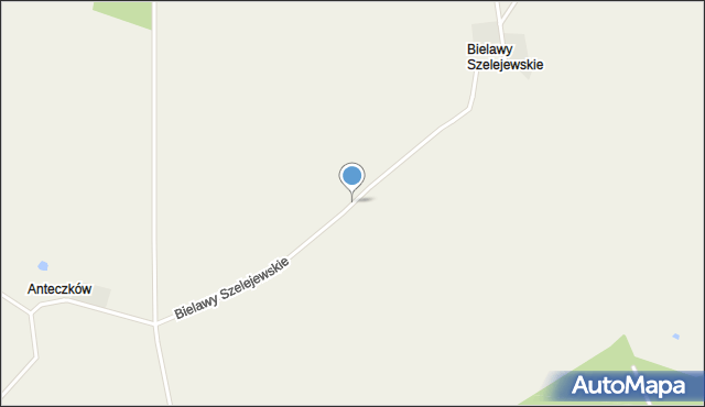 Bielawy Szelejewskie, Bielawy Szelejewskie, mapa Bielawy Szelejewskie