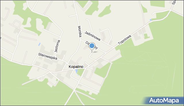 Kopalino, Biedronki, mapa Kopalino