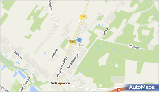 Radziejowice, Białej Brzozy, mapa Radziejowice