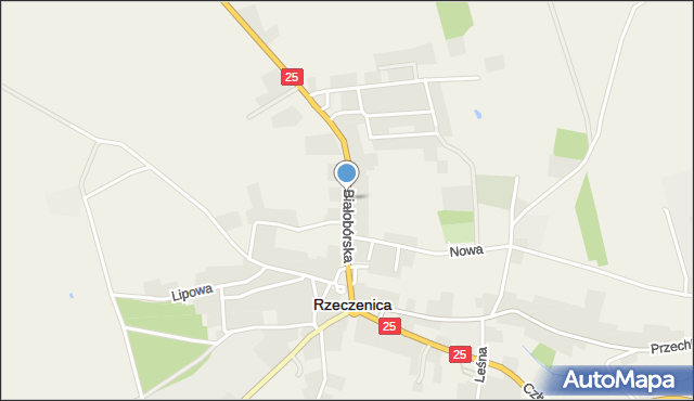 Rzeczenica, Białobórska, mapa Rzeczenica