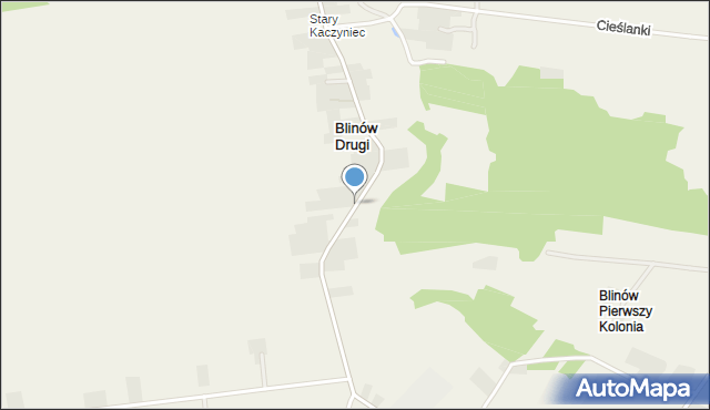 Blinów Drugi, Blinów Drugi, mapa Blinów Drugi