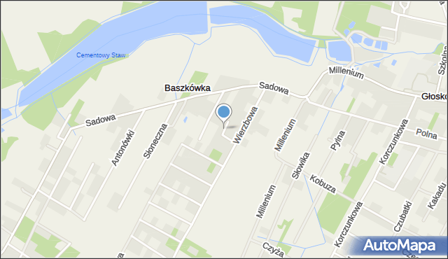 Baszkówka, Bocianich Gniazd, mapa Baszkówka