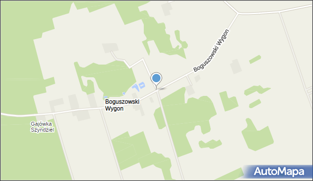 Boguszowski Wygon, Boguszowski Wygon, mapa Boguszowski Wygon