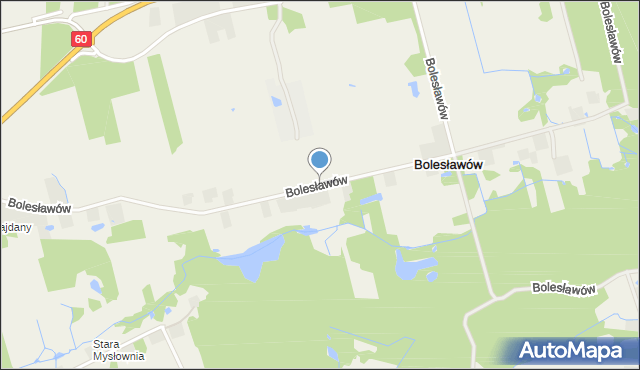 Bolesławów gmina Gostynin, Bolesławów, mapa Bolesławów gmina Gostynin