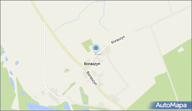 Boraszyn, Boraszyn, mapa Boraszyn