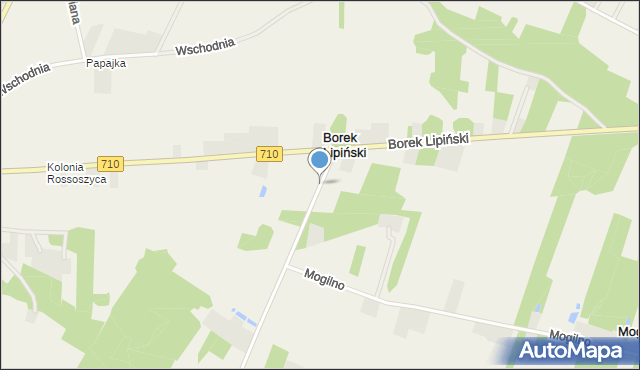 Borek Lipiński, Borek Lipiński, mapa Borek Lipiński