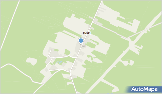 Borki gmina Chlewiska, Borki, mapa Borki gmina Chlewiska