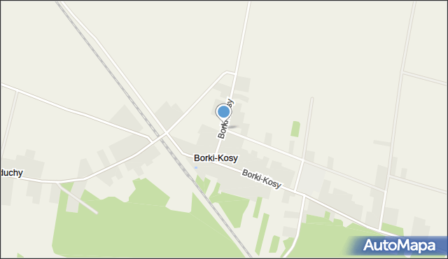 Borki-Kosy, Borki-Kosy, mapa Borki-Kosy