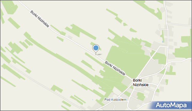 Borki Nizińskie, Borki Nizińskie, mapa Borki Nizińskie