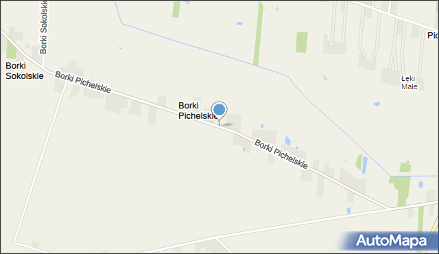 Borki Pichelskie, Borki Pichelskie, mapa Borki Pichelskie