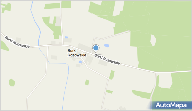 Borki Rozowskie, Borki Rozowskie, mapa Borki Rozowskie