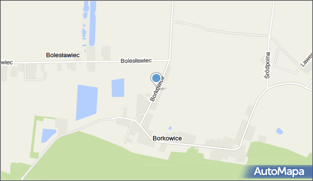 Borkowice gmina Mosina, Borkowice, mapa Borkowice gmina Mosina