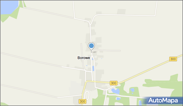 Borowe gmina Iłowa, Borowe, mapa Borowe gmina Iłowa