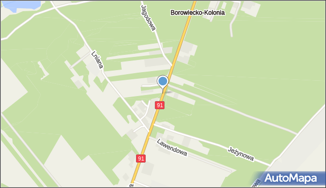 Borowiecko-Kolonia, Borowiecko-Kolonia, mapa Borowiecko-Kolonia