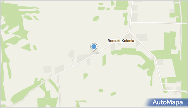 Borsuki-Kolonia, Borsuki-Kolonia, mapa Borsuki-Kolonia