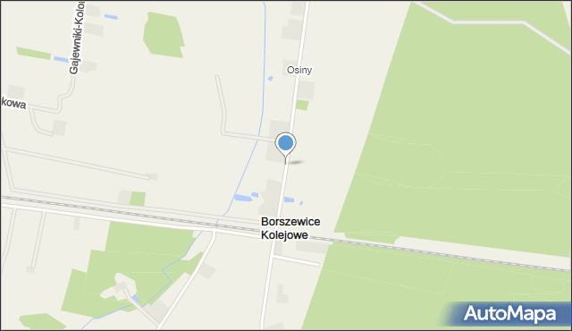 Borszewice Kolejowe, Borszewice Kolejowe, mapa Borszewice Kolejowe