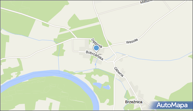Brzeźnica gmina Dąbie, Bobrzańska, mapa Brzeźnica gmina Dąbie