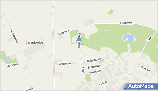 Choceń, Borówkowa, mapa Choceń