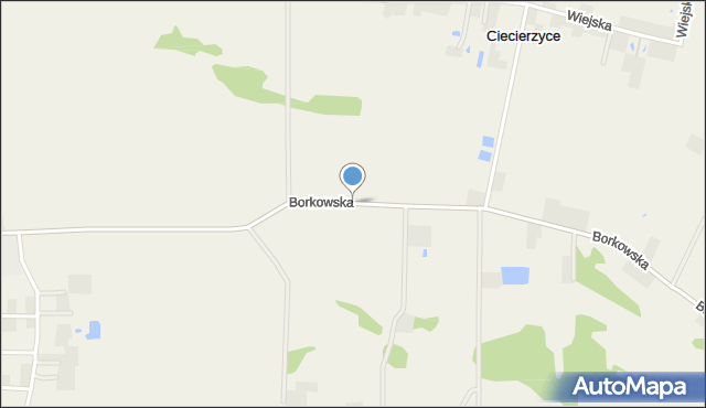 Ciecierzyce, Borkowska, mapa Ciecierzyce