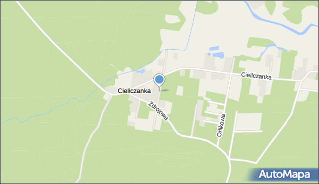 Cieliczanka, Borowinowa, mapa Cieliczanka