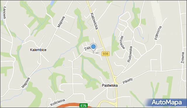 Cieszyn, Borsucza, mapa Cieszyna